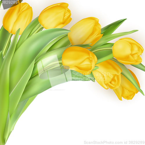 Image of Bouquet of yellow tulips. EPS 10