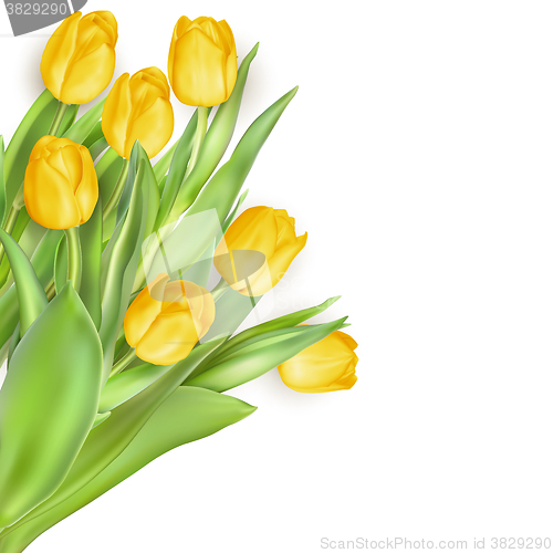 Image of Mother s Day flowers. EPS 10