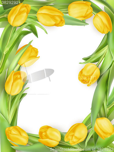 Image of Beautiful bouquet on white. EPS 10