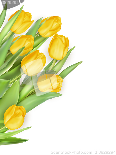 Image of Bouquet of tulips flowers. EPS 10