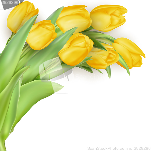 Image of Mother s Day flowers. EPS 10