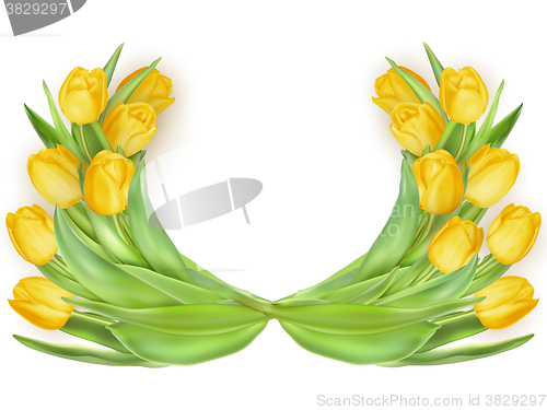 Image of Tulips in shape of heart. EPS 10