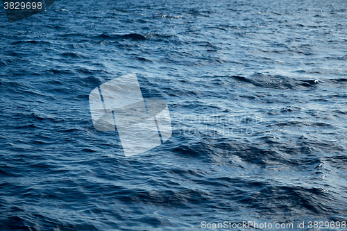 Image of Blue sea surface with waves