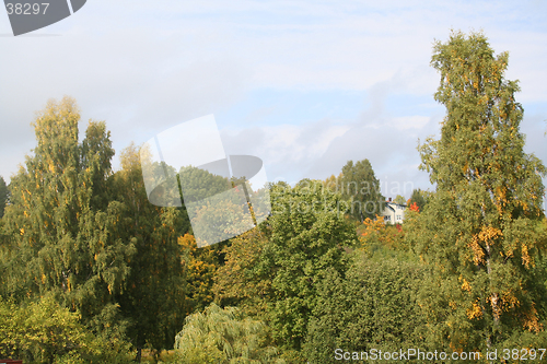 Image of Autum colors