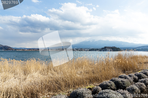 Image of Lake kawaguchi