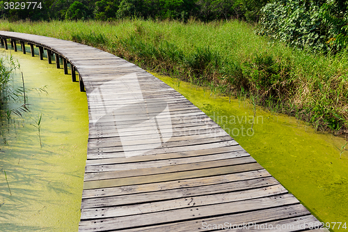 Image of Wooden bridge across the river 