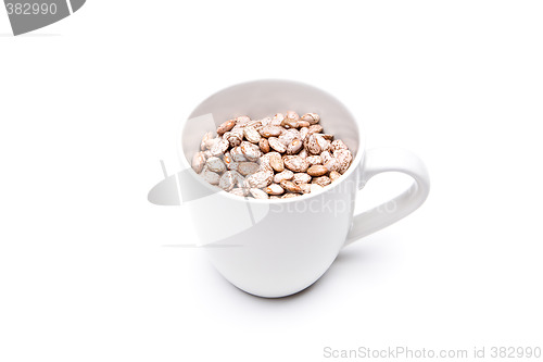 Image of pinto beans in cup