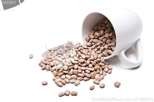 Image of spill the beans