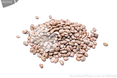 Image of pinto beans isolated