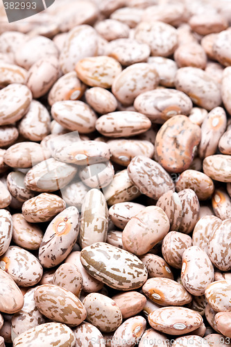 Image of pinto beans