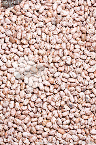 Image of beans background