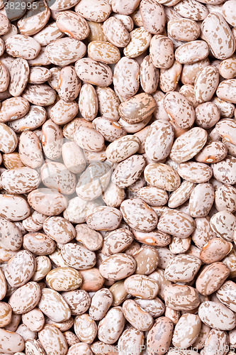 Image of beans background macro