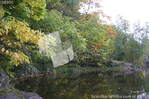 Image of Autum colors