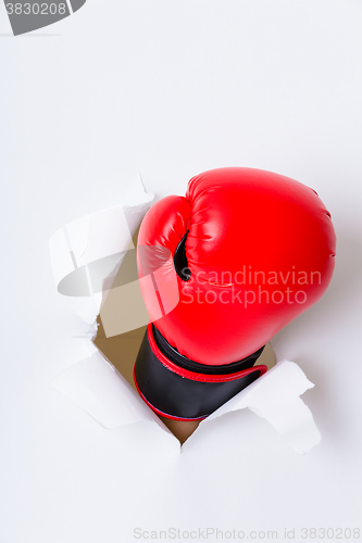 Image of Hand in boxing glove through paper hole