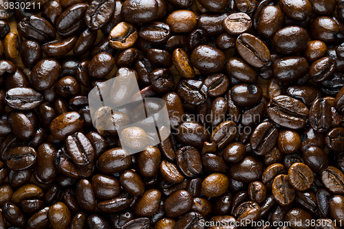 Image of Coffee beans closeup background