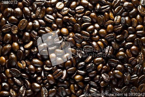 Image of Coffee bean background