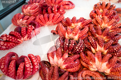 Image of Red octopus at market