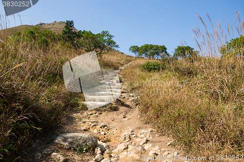 Image of Hiking trail