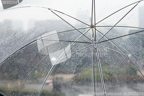 Image of Wet transparent umbrella on natural 