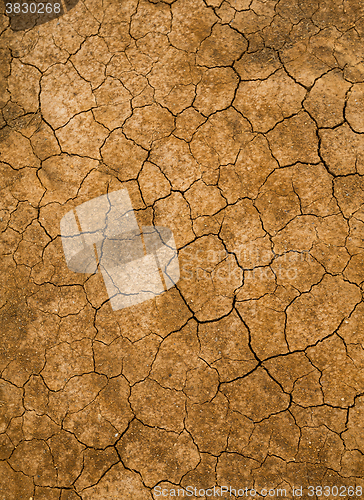 Image of Texture cracked earth