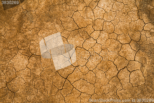 Image of Dry cracked earth