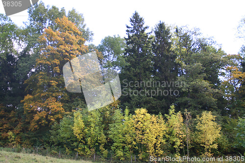 Image of Autumn colors