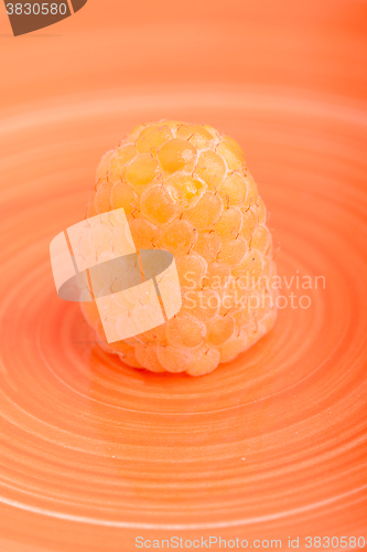 Image of Amazing detail of ripe orange raspberries