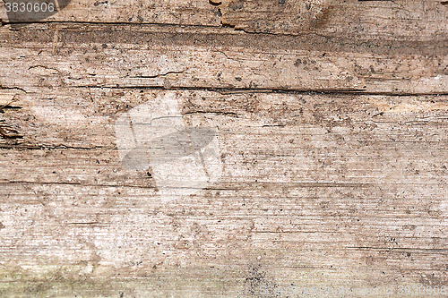 Image of Wooden texture, empty wood background