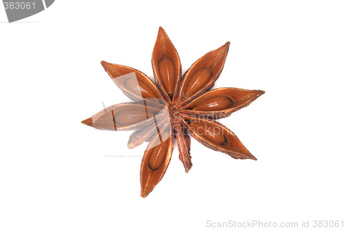 Image of anise star