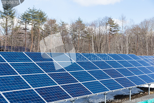 Image of Solar panel plant