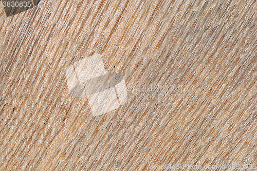 Image of Wooden texture, empty wood background