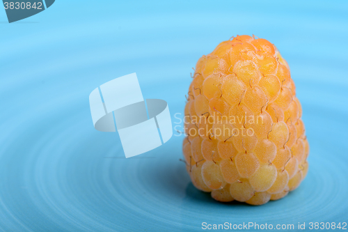 Image of Amazing detail of ripe orange raspberries