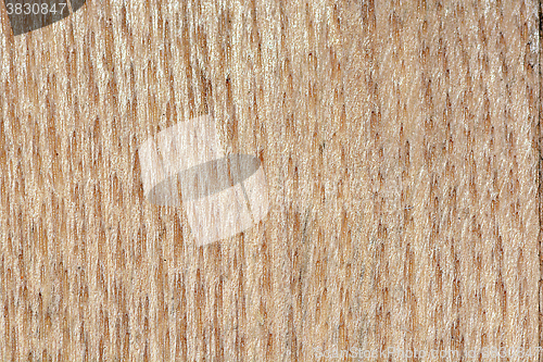 Image of Wooden texture, empty wood background