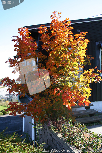 Image of Autumn colors