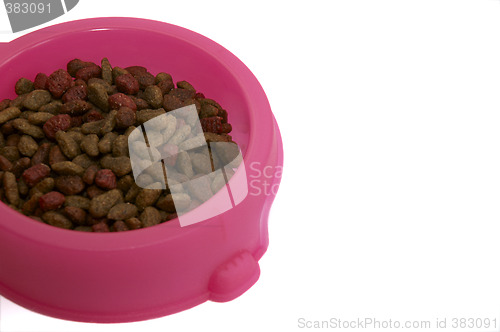 Image of Cat Food