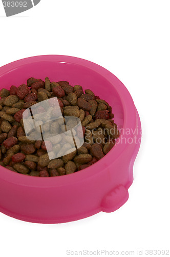 Image of Cat Food