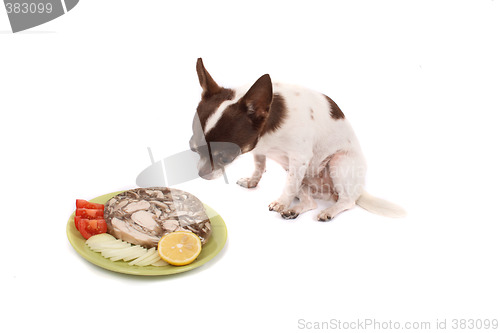 Image of chihuahua and dinner