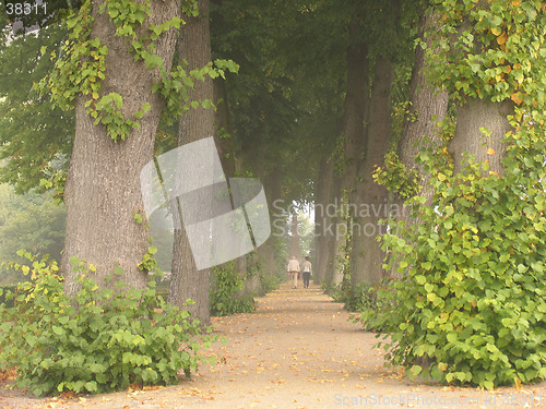 Image of September day