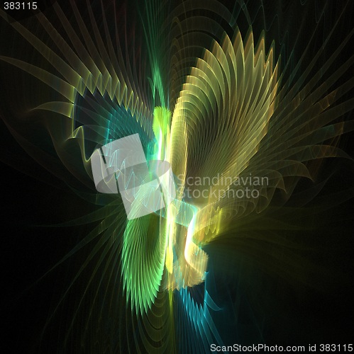 Image of Butterfly wings 3D