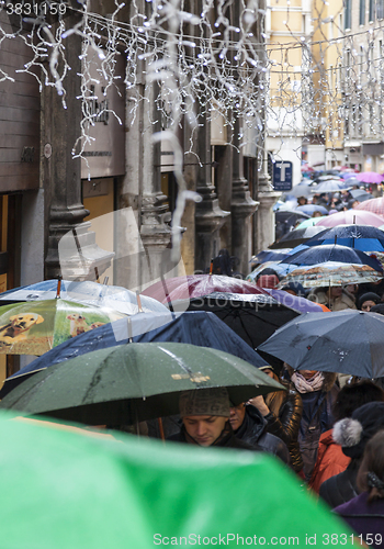 Image of Crowd of Umbrellas in Venice