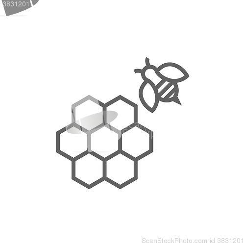 Image of Honeycomb and bee line icon.