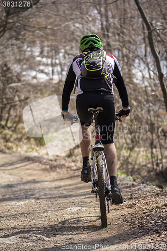 Image of Cyclist riding mountain bike