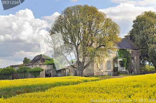 Image of House and rape field  