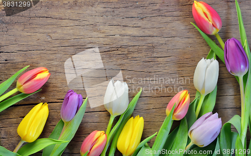 Image of Colorful tulips on wooden