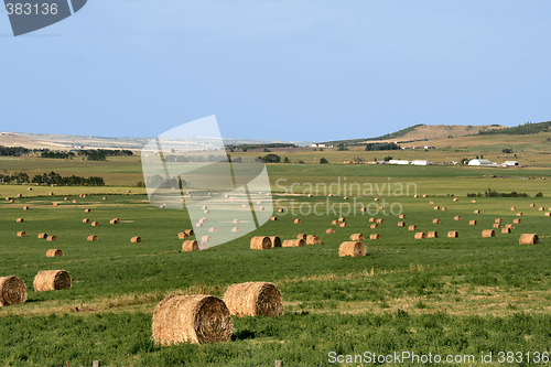 Image of Farmland