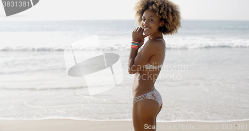 Image of Girl In Bikini Posing Against Sea