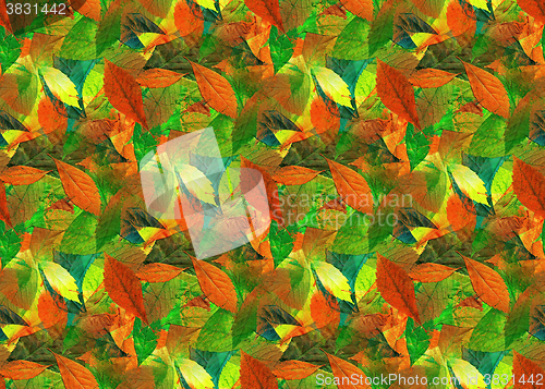 Image of Leaves as Seamless