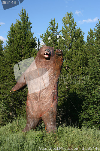 Image of Grizzly bear