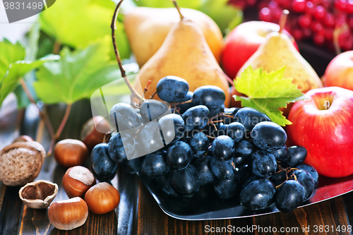 Image of autumn fruits 