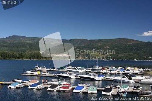 Image of Marina